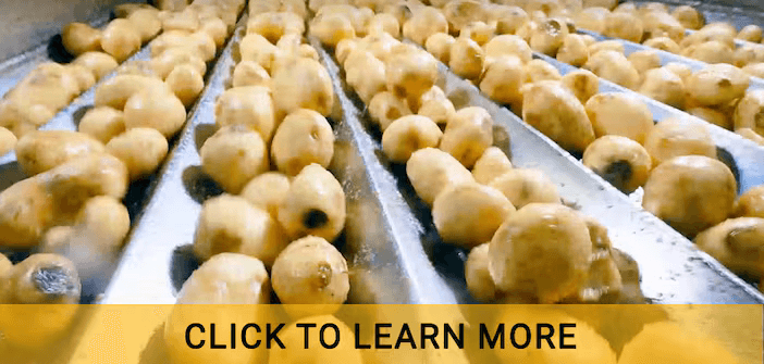 PTS Resources - Potato Processing Plant